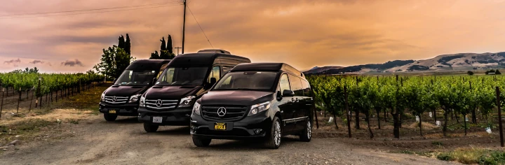 Photograph of the Bloom Wine Tours fleet parked in front of a vineyard at sunset.