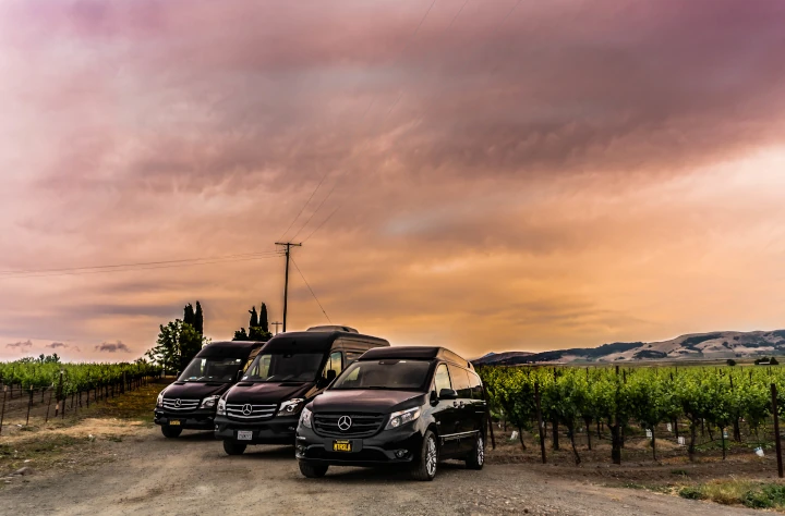 Photo of the Bloom Wine Tours fleet, consisting of two Mercedes Sprinters and one Mercedes Metris, parked in a vineyard at sunset.